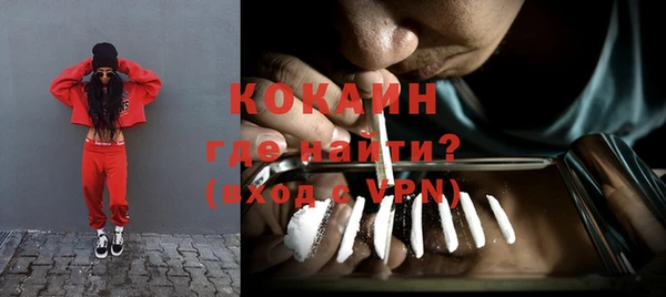 сатива Вяземский