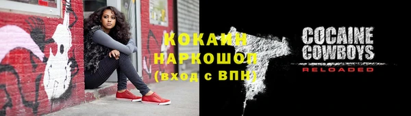 сатива Вяземский