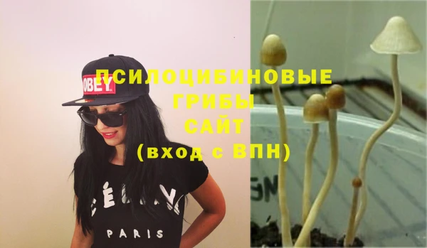сатива Вяземский