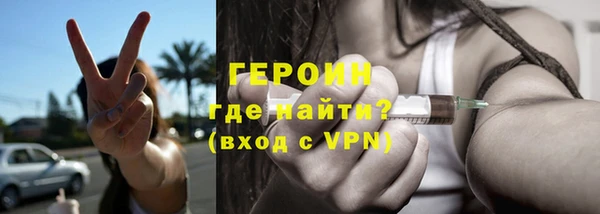 сатива Вяземский