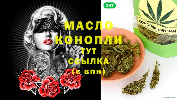 сатива Вяземский