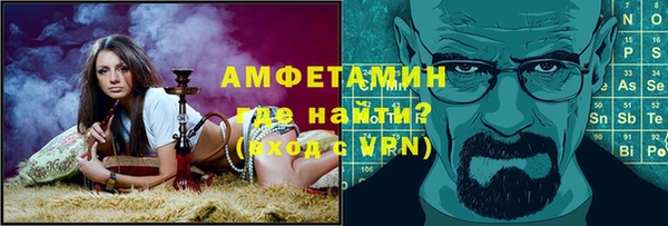 сатива Вяземский