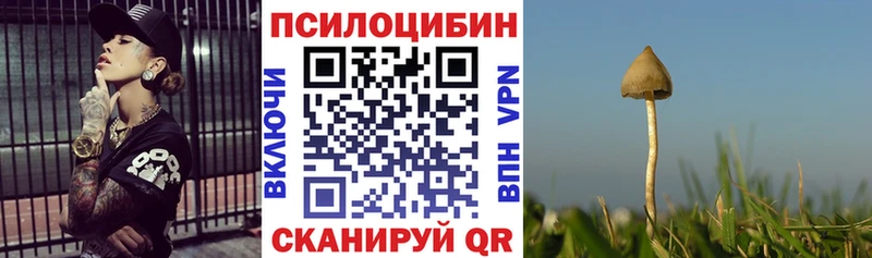 Псилоцибиновые грибы ЛСД  Купить закладки  Иваново 